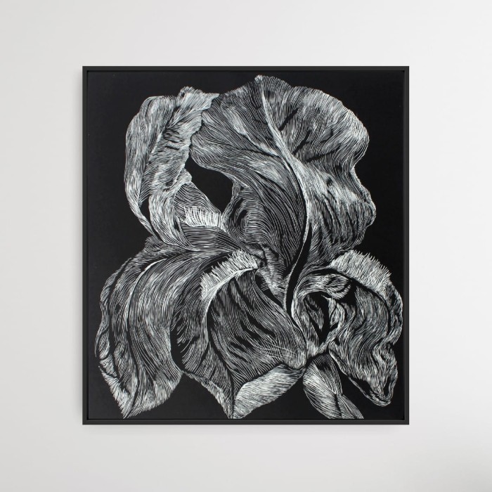 Marta Bożyk - Iris aphilla