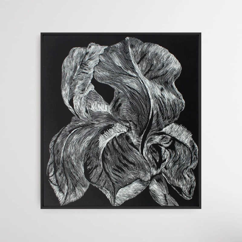 Marta Bożyk - Iris aphilla