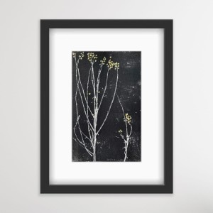 Marta Wakuła-Mac - Bez tytułu (Flora)