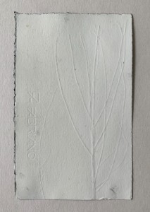 Marta Wakuła-Mac - Bez tytułu (Flora)