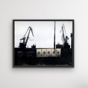 Łukasz Fruczek – Cranes (Żurawie) III
