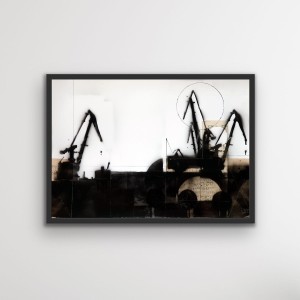Łukasz Fruczek – Cranes (Żurawie) V