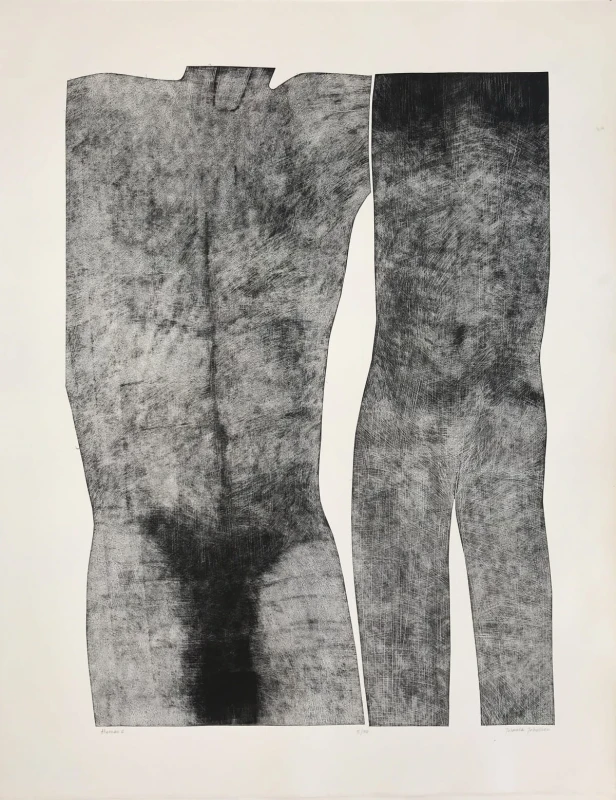 Jolanta Johnsson - Human VI