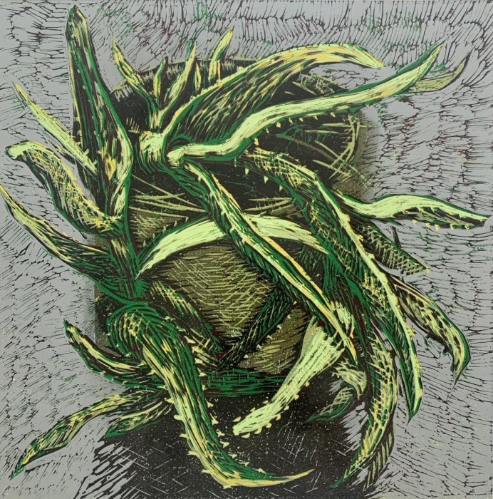 Marta Garbaczewska - Aloe
