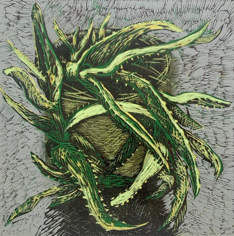 Marta Garbaczewska - Aloe