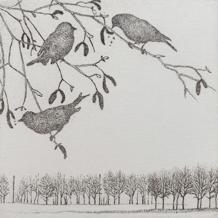 Elżbieta Bocianowska – Pour feliciter