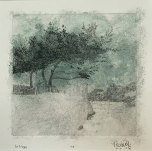 Thierry P. Vroye - La maye