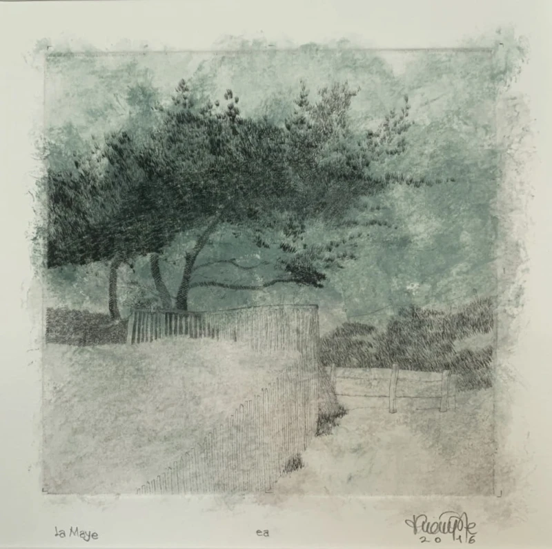Thierry P. Vroye - La maye