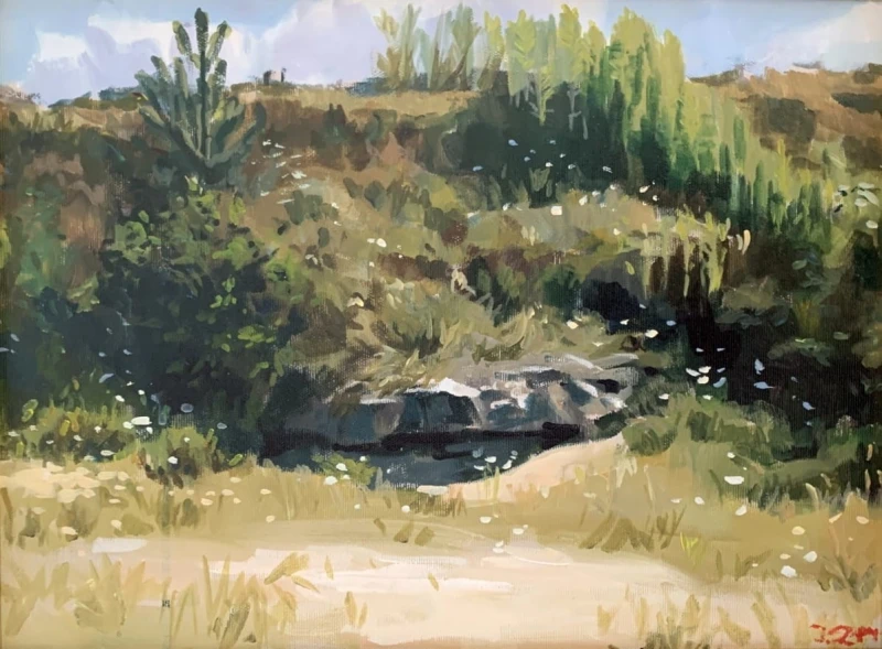 Janusz Szpyt – Roztocze