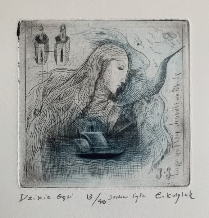 Ewa Kutylak - Dzikie gęsi