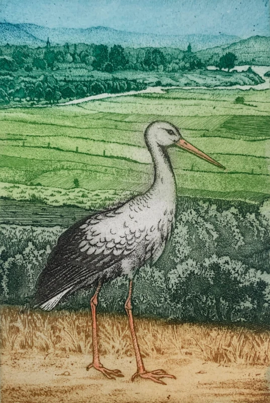 Marian Bocianowski – Bocian