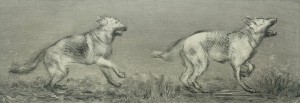 Paweł Zabłocki, Tofcia II i Tofcia III
Współczesna grafika w technice akwaforty autorstwa polskiego artysty Pawła Zabłockiego
Grafika jest monochromatyczna i przedstawia psy