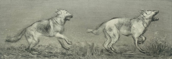 Paweł Zabłocki, Tofcia II i Tofcia III
Współczesna grafika w technice akwaforty autorstwa polskiego artysty Pawła Zabłockiego
Grafika jest monochromatyczna i przedstawia psy