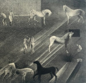 Paweł Zabłocki – New runs
