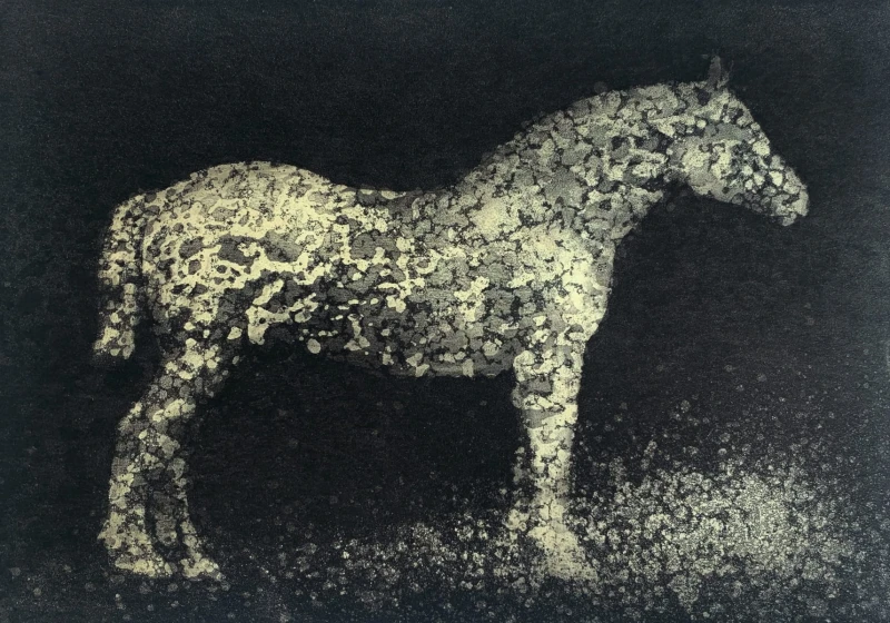 Paweł Zabłocki – Little galaxy