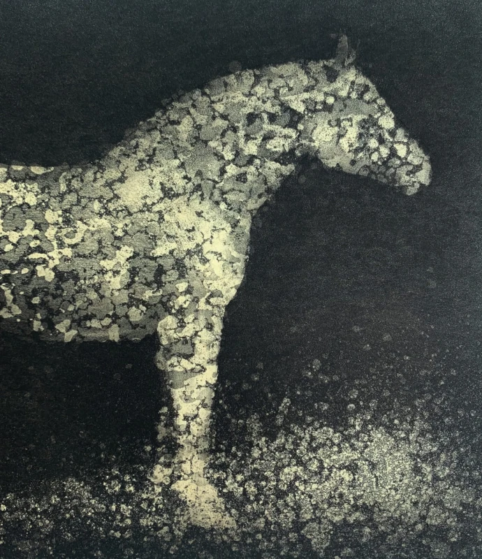 Paweł Zabłocki – Little galaxy