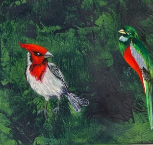 Magdalena Nałęcz - Ogrody rozkoszy 32 (Kardynałek czubaty i trogon)