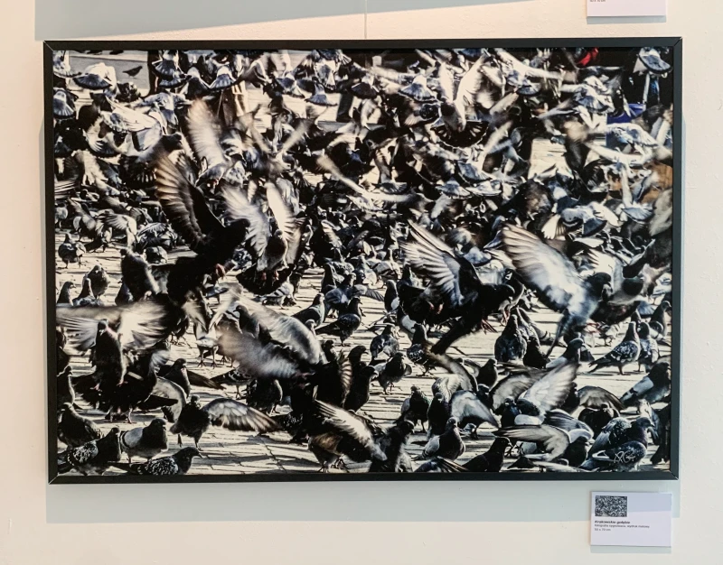 image00019 a(1).jpg