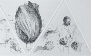 Krzysztof Skórczewski, Ogrody Jozafata, grafika, Galeria Sztuki Katarzyny Napiórkowskiej