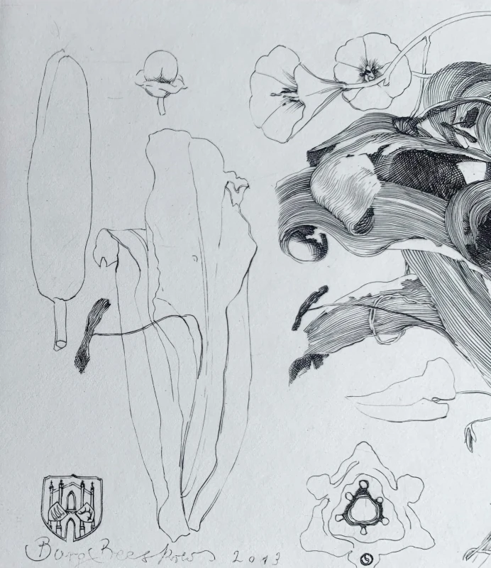 Krzysztof Skórczewski, Lilia i powój, grafika, Galeria Sztuki Katarzyny Napiórkowskiej