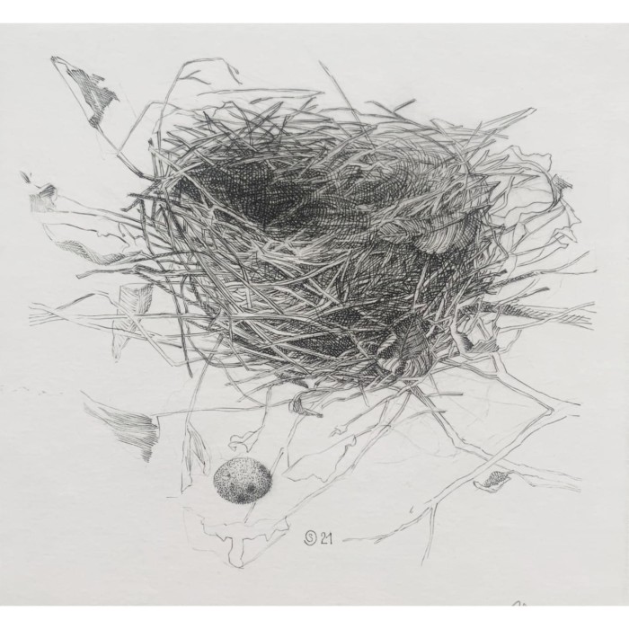 Krzysztof Skórczewski, Gniazdko- szkice wiejskie, grafika, Galeria Sztuki Katarzyny Napiórkowskiej