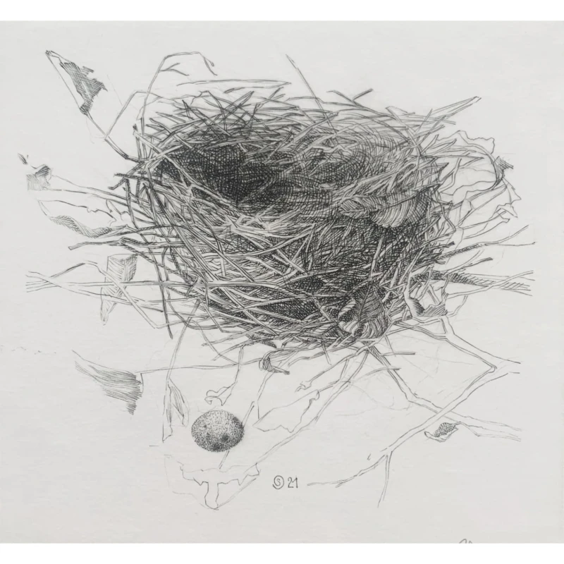 Krzysztof Skórczewski, Gniazdko- szkice wiejskie, grafika, Galeria Sztuki Katarzyny Napiórkowskiej