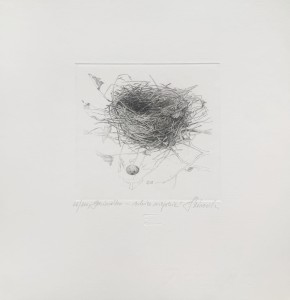 Krzysztof Skórczewski, Gniazdko- szkice wiejskie, grafika, Galeria Sztuki Katarzyny Napiórkowskiej
