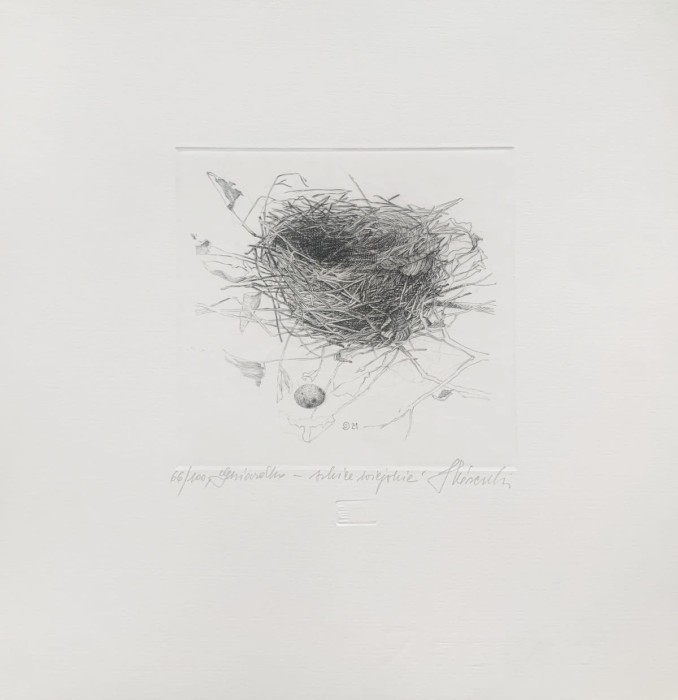 Krzysztof Skórczewski, Gniazdko- szkice wiejskie, grafika, Galeria Sztuki Katarzyny Napiórkowskiej