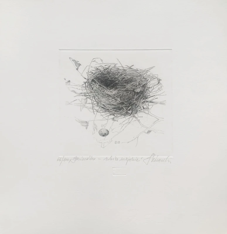 Krzysztof Skórczewski, Gniazdko- szkice wiejskie, grafika, Galeria Sztuki Katarzyny Napiórkowskiej