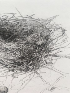 Krzysztof Skórczewski, Gniazdko- szkice wiejskie, grafika, Galeria Sztuki Katarzyny Napiórkowskiej