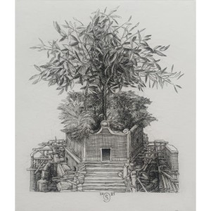 Krzysztof Skórczewski, Olea Europea, grafika, Galeria Sztuki Katarzyny Napiórkowskiej