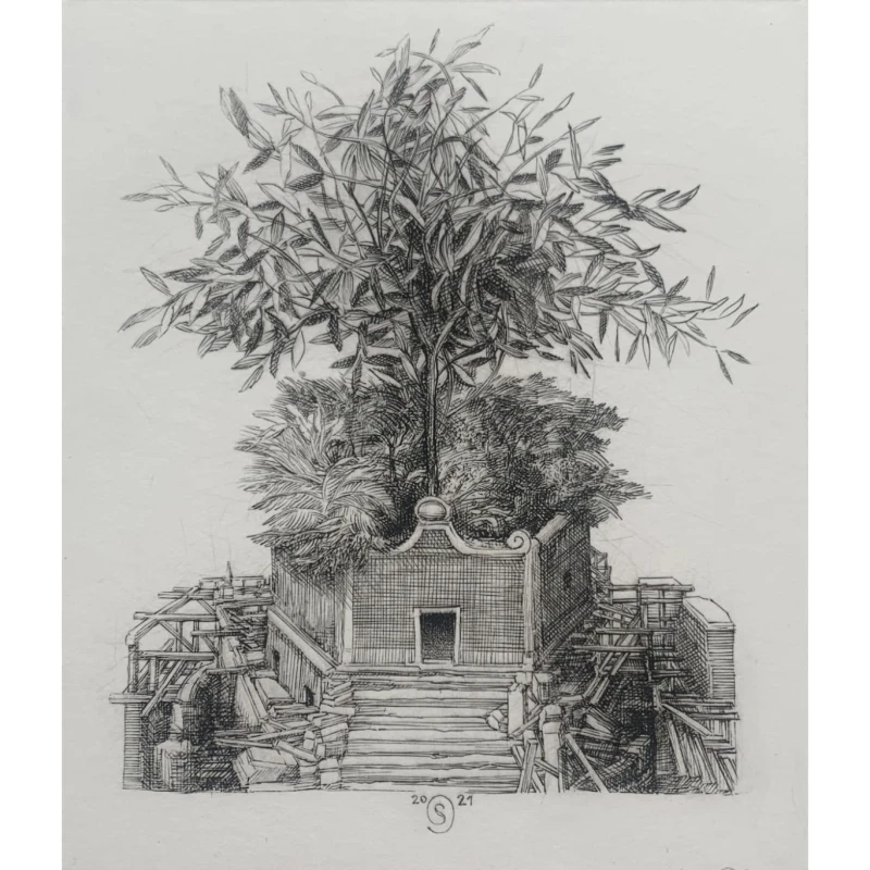 Krzysztof Skórczewski, Olea Europea, grafika, Galeria Sztuki Katarzyny Napiórkowskiej