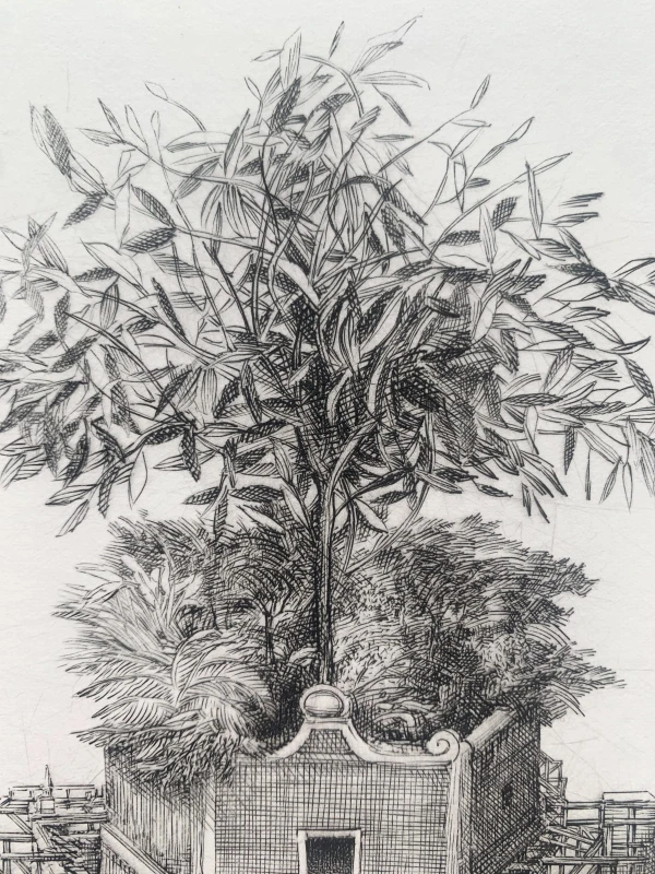 Krzysztof Skórczewski, Olea Europea, grafika, Galeria Sztuki Katarzyny Napiórkowskiej