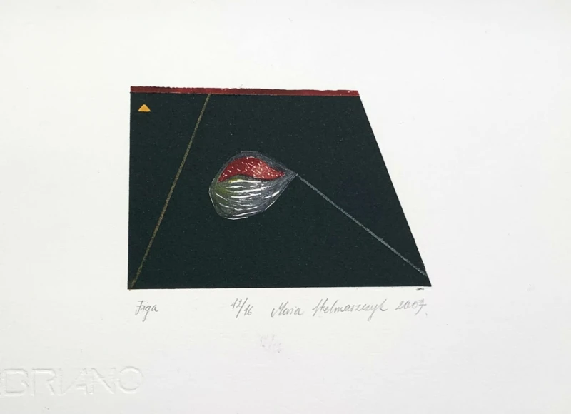 Maria Stelmaszczyk, Figa, grafika, Galeria Sztuki Katarzyny Napiórkowskiej