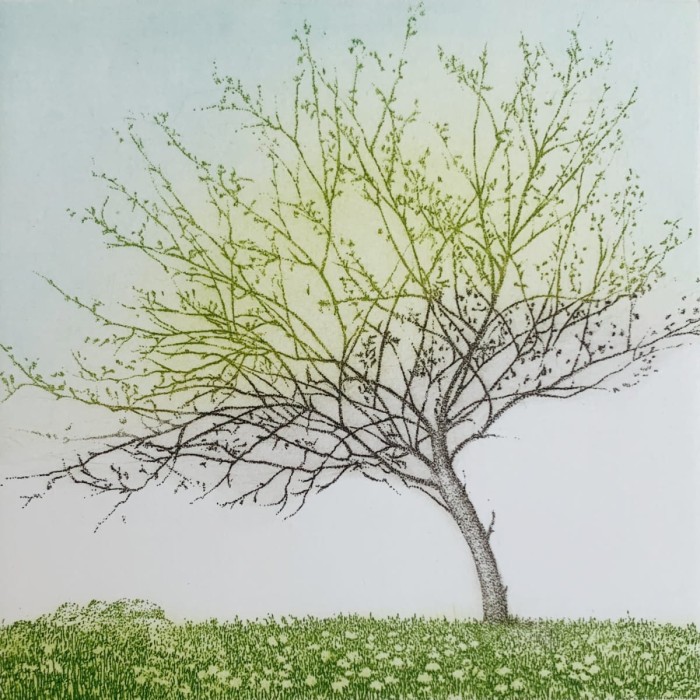 Elżbieta Bocianowska Primavera.jpg