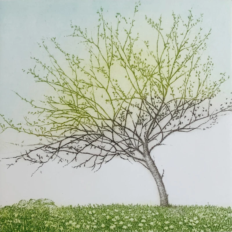 Elżbieta Bocianowska Primavera.jpg