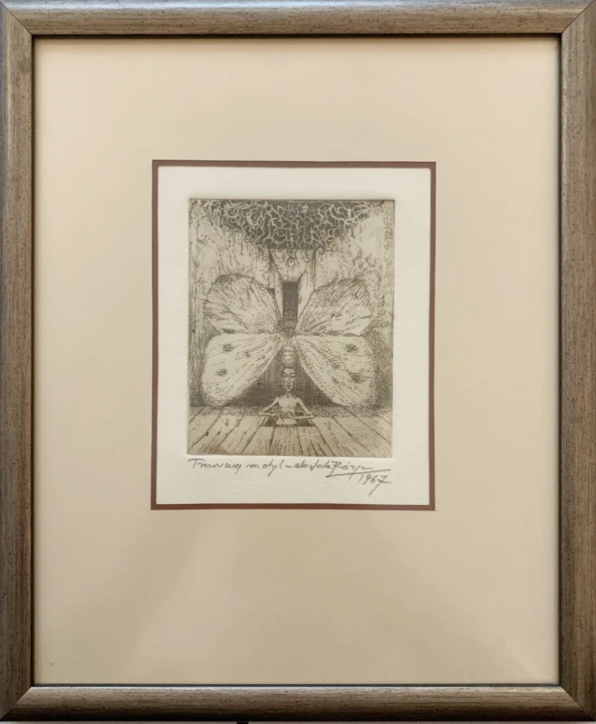 leszek rózga tresowany motyl galeria sztuki katarzyny napiórkowskiej (3).jpg