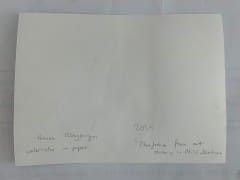 Hanna Ilczyszyn Nocefresca (Milis, Sardinia) Galeria Sztuki Katarzyny Napiórkowskiej 2 (2).jpg