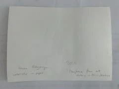 Hanna Ilczyszyn Nocefresca (Milis, Sardinia) Galeria Sztuki Katarzyny Napiórkowskiej 2 (2).jpg
