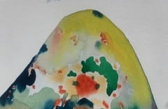 Hanna Ilczyszyn Nocefresca (Milis, Sardinia) Galeria Sztuki Katarzyny Napiórkowskiej (6).jpg