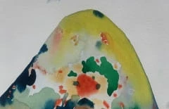 Hanna Ilczyszyn Nocefresca (Milis, Sardinia) Galeria Sztuki Katarzyny Napiórkowskiej (6).jpg