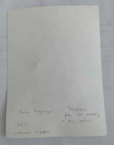 Hanna Ilczyszyn Nocefresca (Milis, Sardinia) Galeria Sztuki Katarzyny Napiórkowskiej 8 (1).jpg