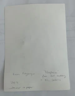 Hanna Ilczyszyn Nocefresca (Milis, Sardinia) Galeria Sztuki Katarzyny Napiórkowskiej 8 (1).jpg