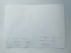 Hanna Ilczyszyn Nocefresca (Milis, Sardinia) Galeria Sztuki Katarzyny Napiórkowskiej 11 (1).jpg