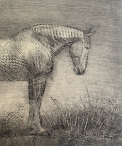 Paweł Zabłocki Lonely Belgian Galeria Sztuki Katarzyny Napiórkowskiej