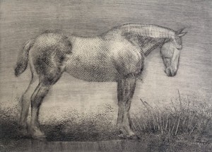 Paweł Zabłocki Lonely Belgian Galeria Sztuki Katarzyny Napiórkowskiej