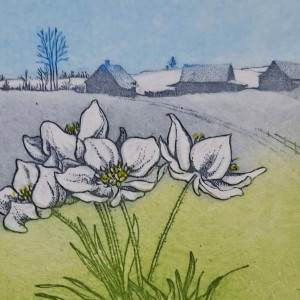 Elżbieta Bocianowska grafika tylkosztuka Galeria Sztuki  (4).jpg