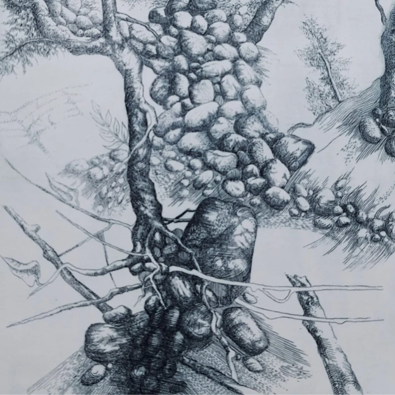 Adam Kwaśny Pokuta Galeria Sztuki Katarzyny Napiórkowskiej