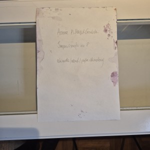 Anna MAsiul Gozdecka obrazy Galeria tylkosztuka pl  (57).jpg