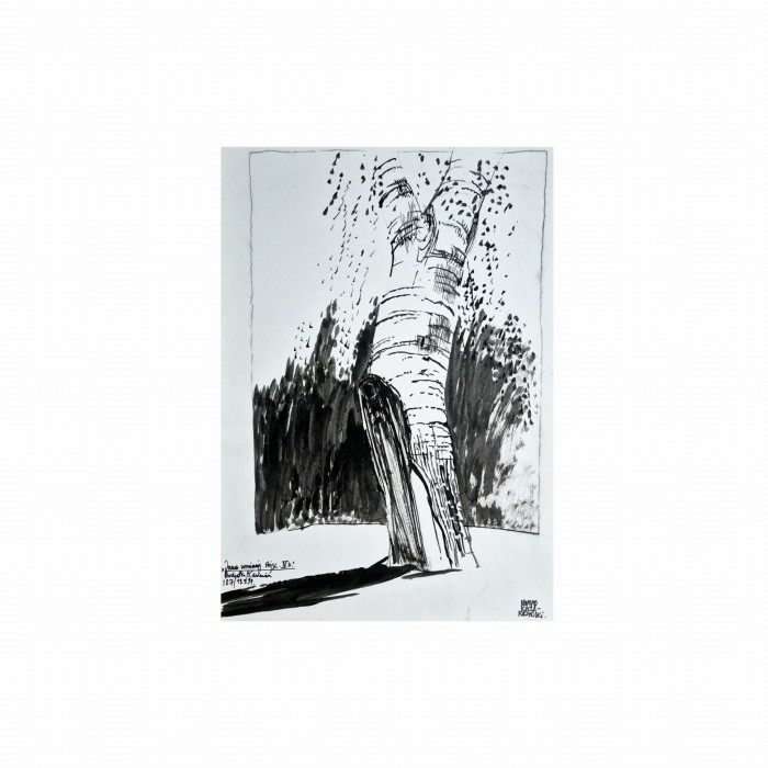 Konrad Kucza Kuczynski Galeria Katarzyny Napiorkowskiej  obrazy  (10).jpg